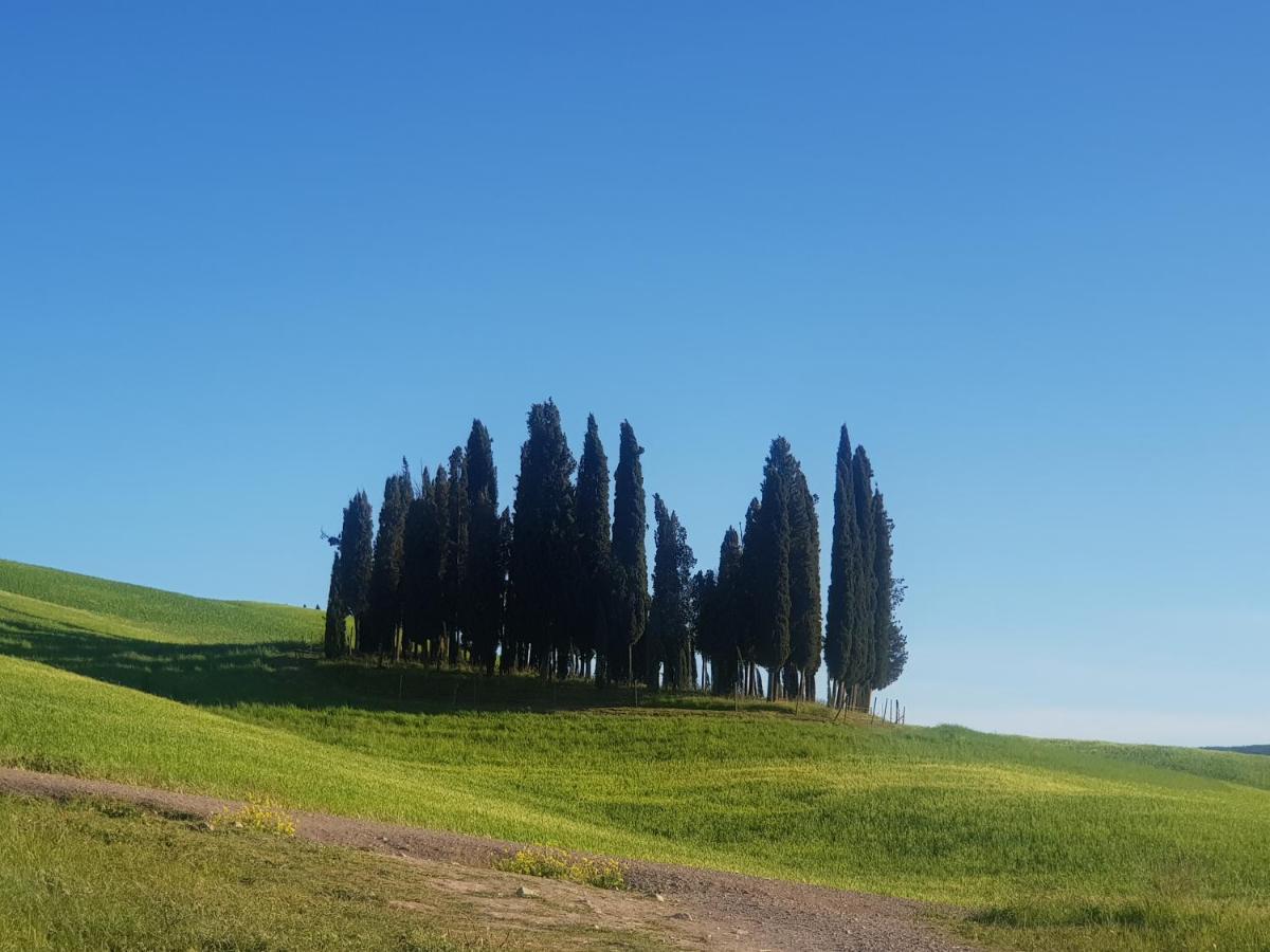 San Quirico dʼOrcia Palazzetto Del Pittore מראה חיצוני תמונה