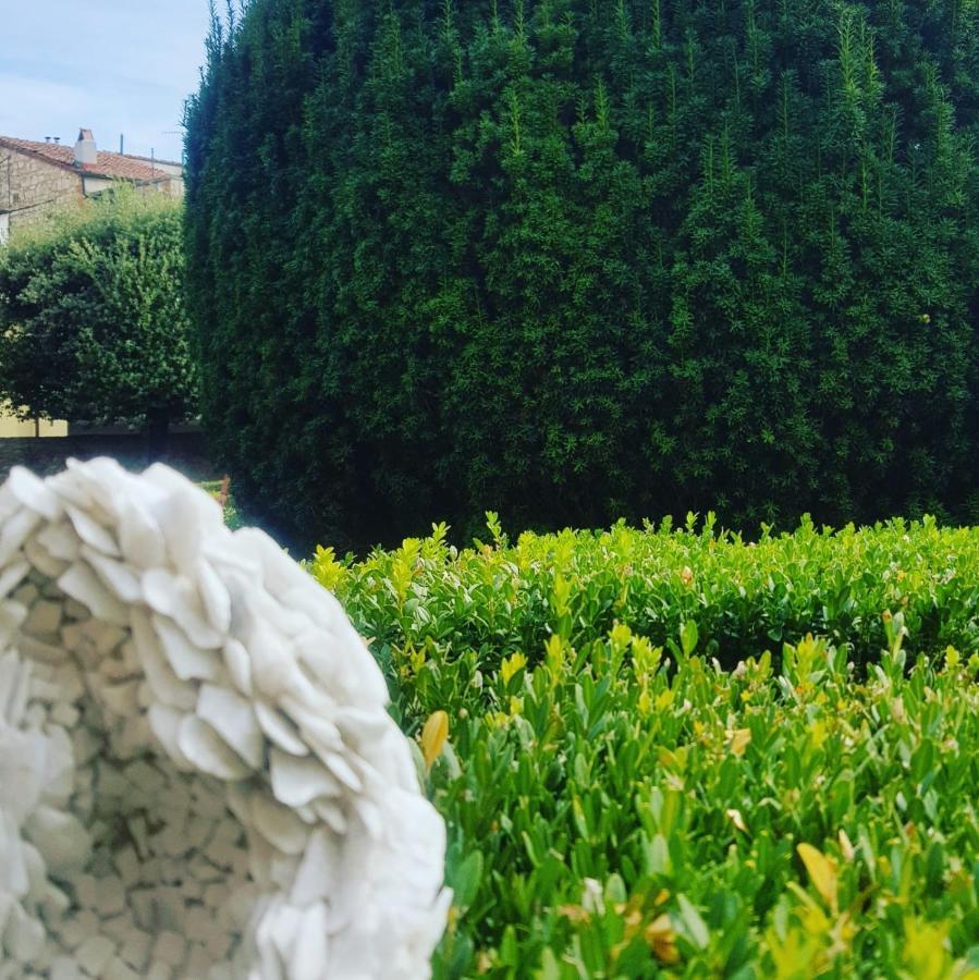 San Quirico dʼOrcia Palazzetto Del Pittore מראה חיצוני תמונה