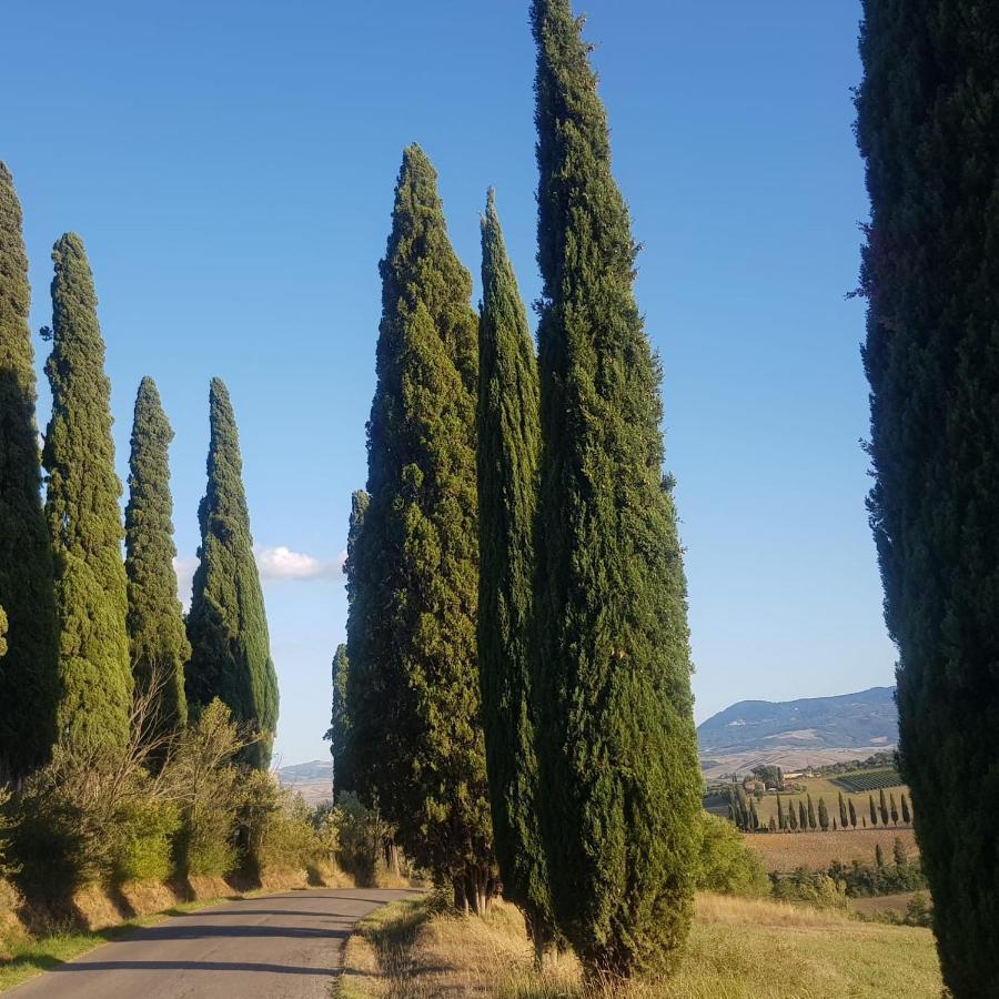 San Quirico dʼOrcia Palazzetto Del Pittore מראה חיצוני תמונה