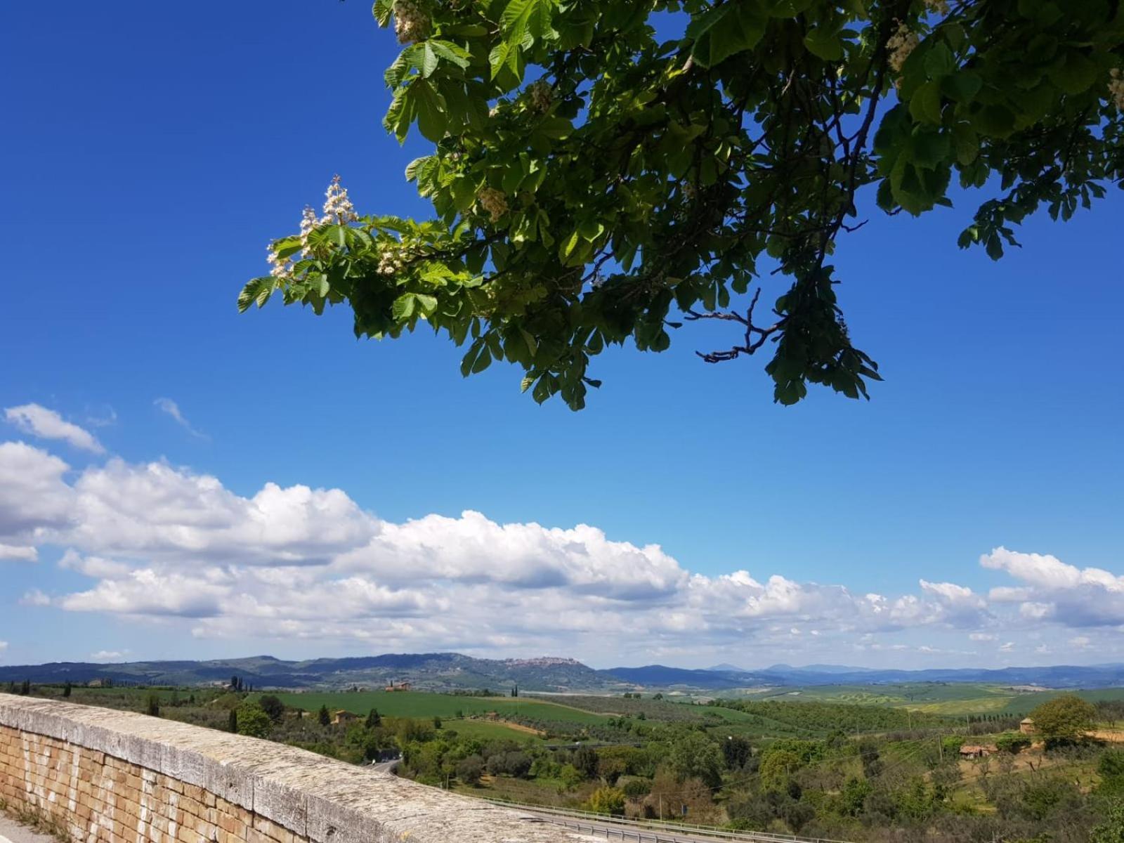 San Quirico dʼOrcia Palazzetto Del Pittore מראה חיצוני תמונה